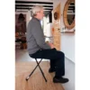 Bastón Silla Plegable (Altura Regulable), Bastones para Andar con Asiento Negro - Image 3